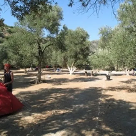 Kamp alanı Camping Paleochora *
